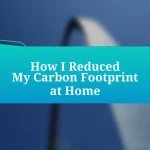How I Reduced My Carbon Footprint at Home