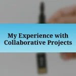 My Experience with Collaborative Projects