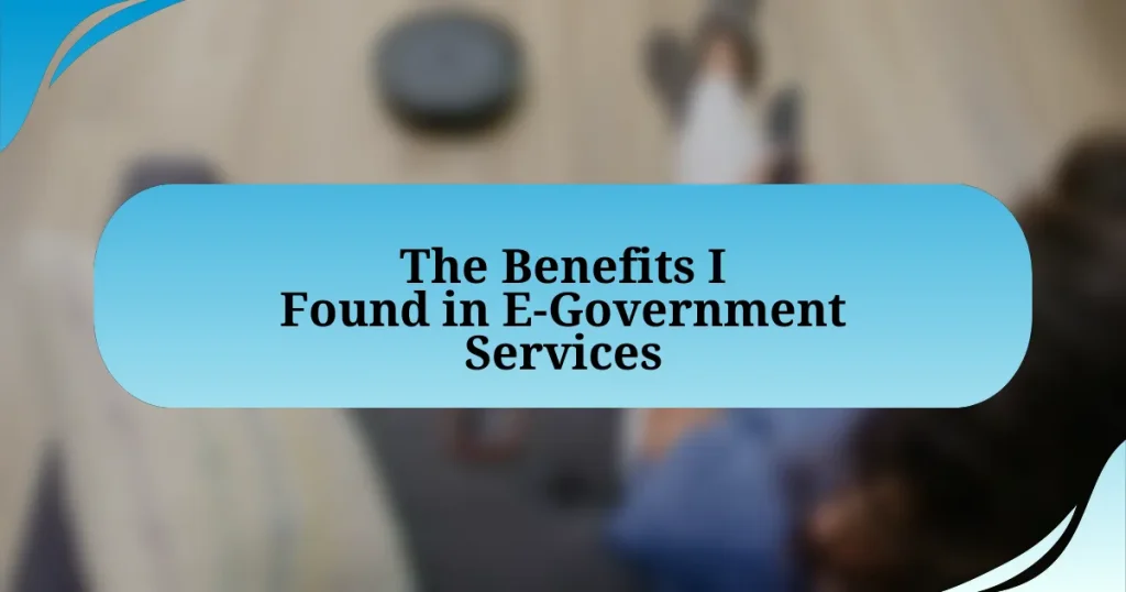 The Benefits I Found in E-Government Services