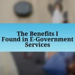 The Benefits I Found in E-Government Services