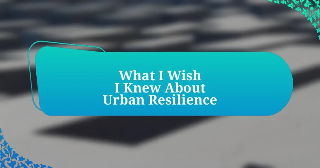 What I Wish I Knew About Urban Resilience