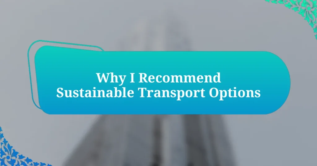 Why I Recommend Sustainable Transport Options