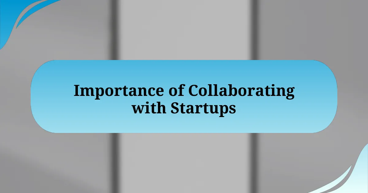 Importance of Collaborating with Startups