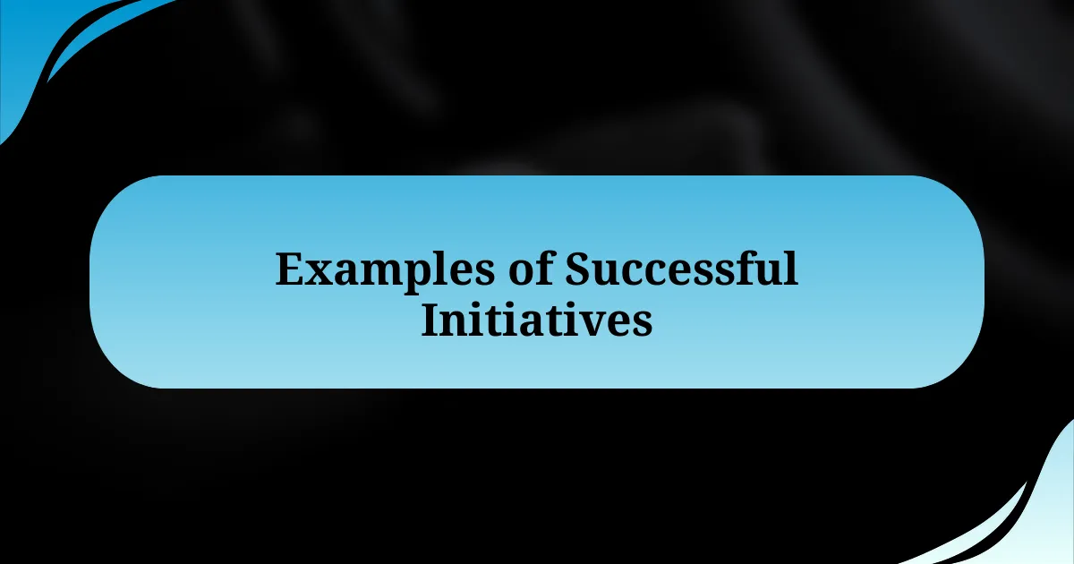 Examples of Successful Initiatives