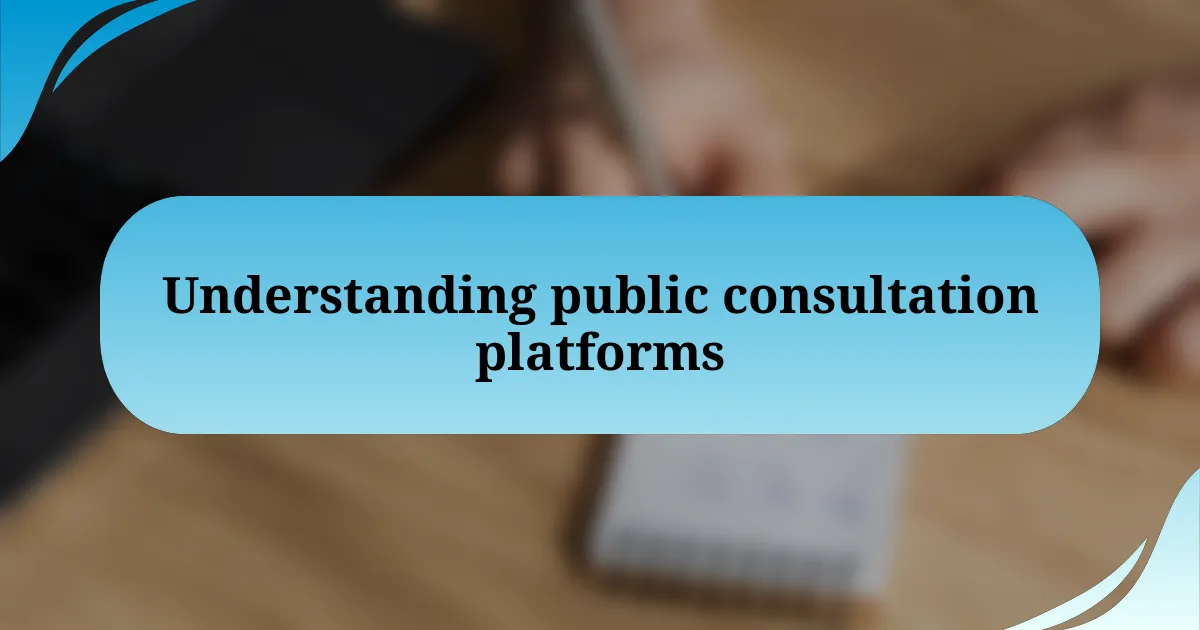 Understanding public consultation platforms