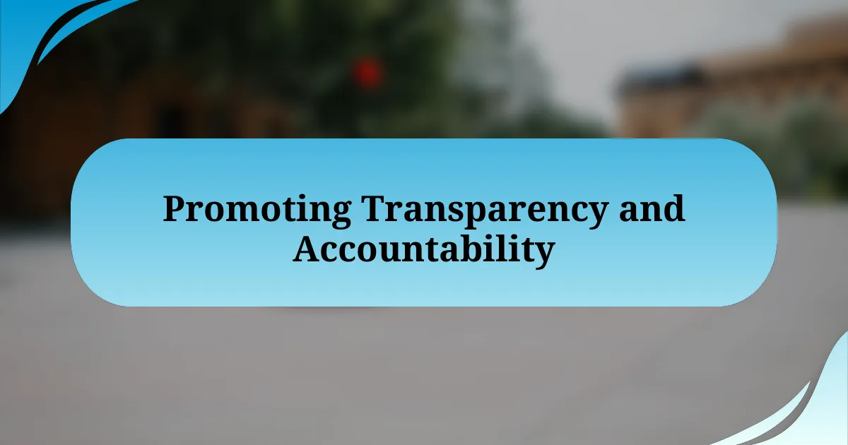 Promoting Transparency and Accountability