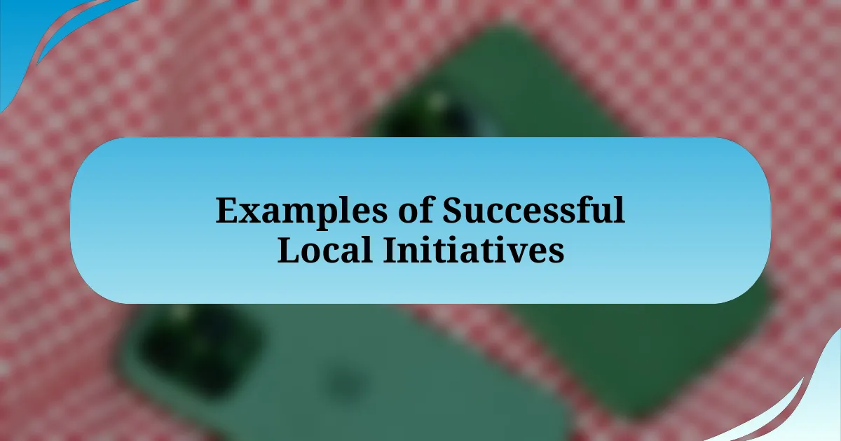 Examples of Successful Local Initiatives